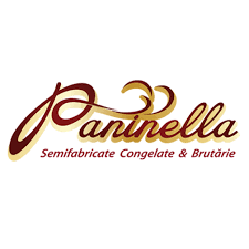 Константин Мамалига, компания Paninela SRL Константин Мамалига, компания Paninela SRL
