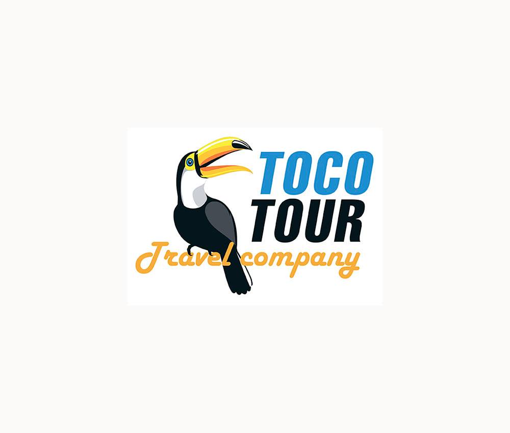 Василий Чебанов, IT-специалист Toco Tour Василий Чебанов, IT-специалист Toco Tour