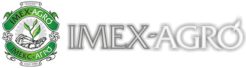 Алексей, инженер IT-безопасности компании Imexagro Алексей, инженер IT-безопасности компании Imexagro