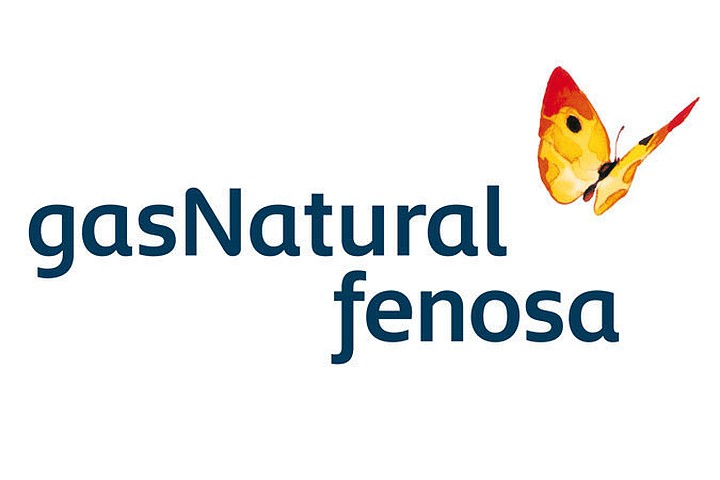 Путунцика Олег, начальник безопасности RED UNION FENOSA S.A. Путунцика Олег, начальник безопасности RED UNION FENOSA S.A.