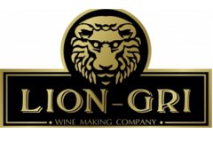 Аркадий Козма, начальник охраны компании Lion-Gri Аркадий Козма, начальник охраны компании Lion-Gri