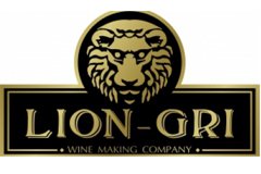 Аркадий Козма, начальник охраны компании Lion-Gri