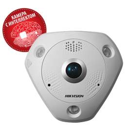 Hikvision DS-2CD63C2F-IS 