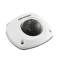 Hikvision DS-2CD6520D-IO