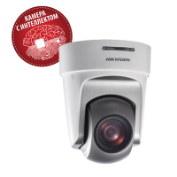 Hikvision DS-2DF5220S-DE4/W