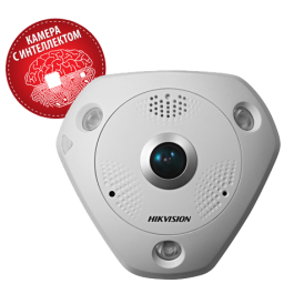 Hikvision DS-2CD6332FWD-I